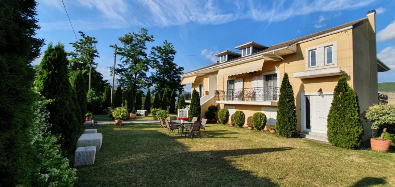 Sevi'S Luxury Guesthouse Villa Ioannina Eksteriør billede